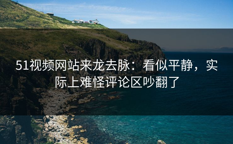 51视频网站来龙去脉：看似平静，实际上难怪评论区吵翻了