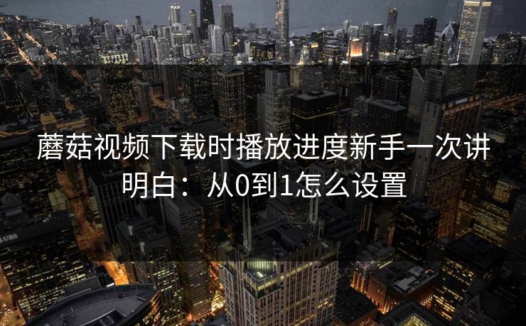 蘑菇视频下载时播放进度新手一次讲明白：从0到1怎么设置
