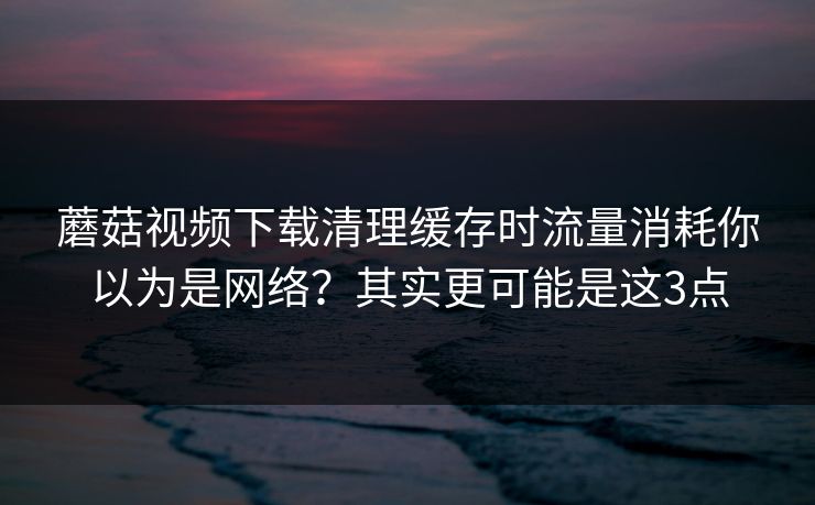 蘑菇视频下载清理缓存时流量消耗你以为是网络？其实更可能是这3点