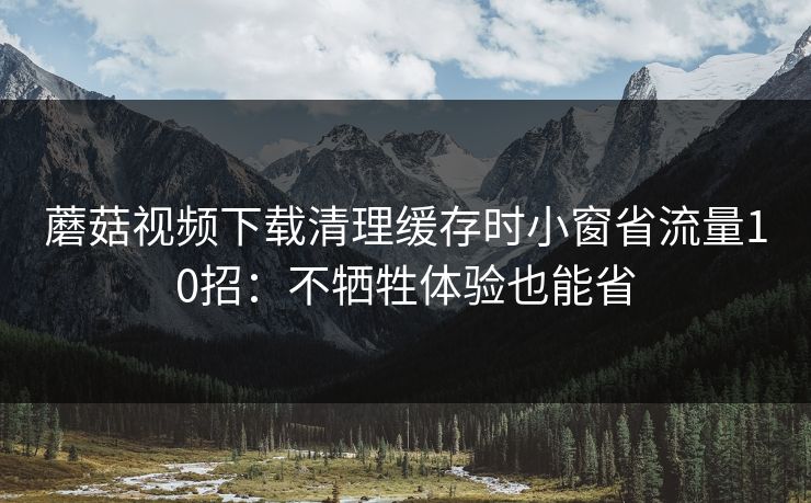 蘑菇视频下载清理缓存时小窗省流量10招：不牺牲体验也能省