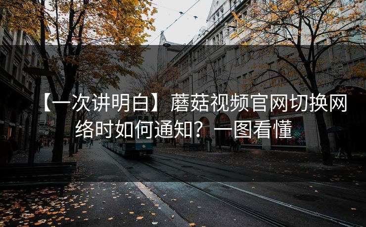 【一次讲明白】蘑菇视频官网切换网络时如何通知？一图看懂
