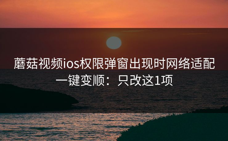 蘑菇视频ios权限弹窗出现时网络适配一键变顺：只改这1项