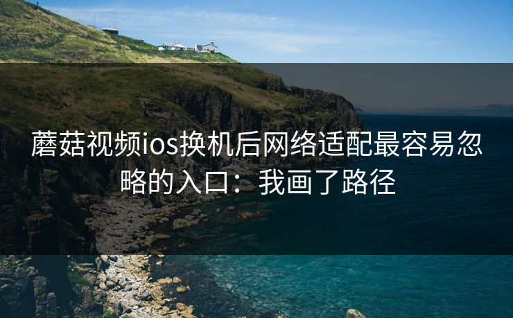 蘑菇视频ios换机后网络适配最容易忽略的入口：我画了路径  第1张